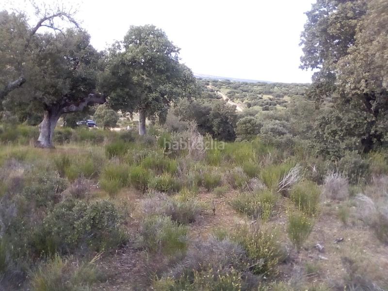 Foto 9a17a951-022b-4fed-b9a9-1faa82b5cb5b. Landgut in Ledesma