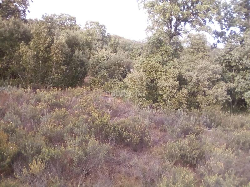 Foto 0e40b8a0-4ba5-476a-a809-387fd3548ed4. Propriété dans Ledesma