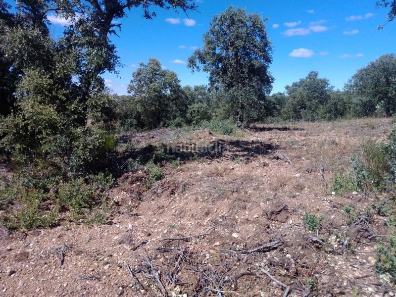 Foto 69662def-5fca-47bd-8fbc-db9c2fb0bc04. Propriété dans Ledesma