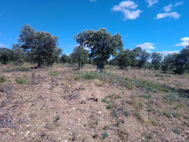 Foto 6d430007-8893-4538-b3eb-de4ae18e51be. Propriété dans Ledesma