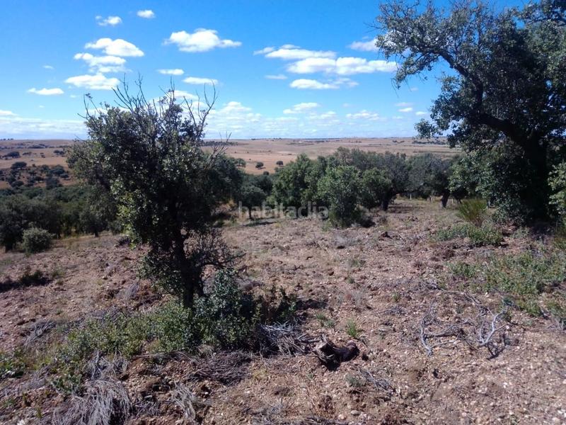 Foto 71b90de0-0e09-459b-8983-cad3e3ec8de2. Propriété dans Ledesma