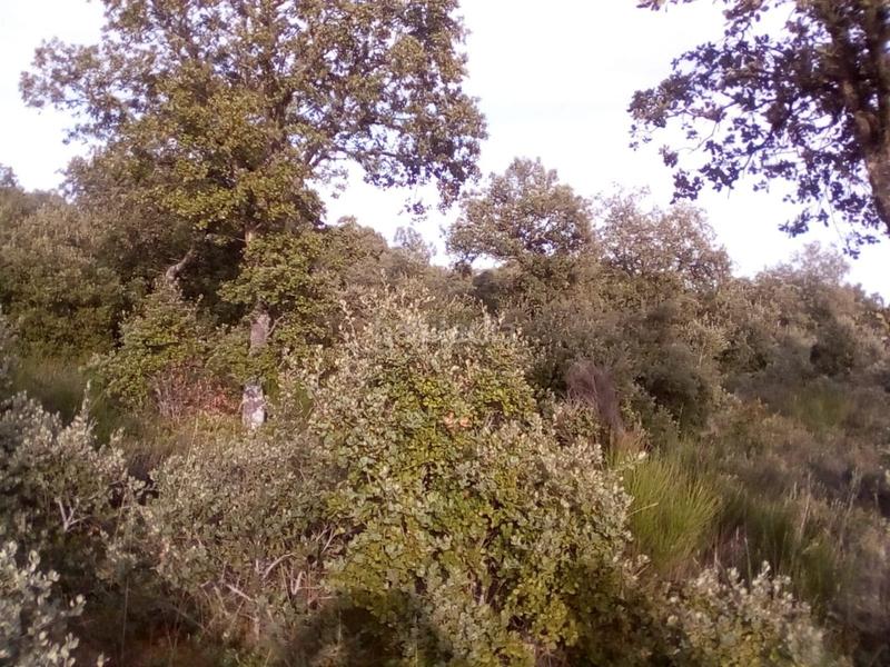 Foto c27457cb-143a-456a-b870-cabb168204e7. Propriété dans Ledesma