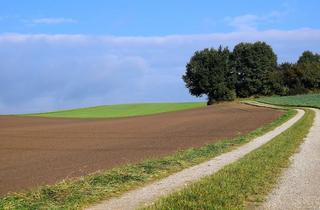 Wohngrundstück in Arapiles