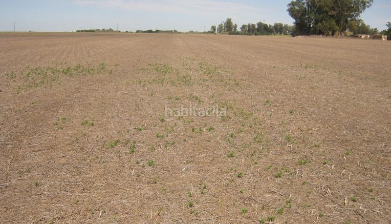 Foto 672ef174-65c5-4825-8044-0156a0e12e0c. Finca rústica en Arapiles
