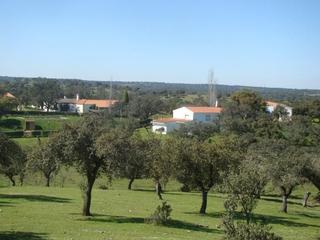 Finca rústica a Alcántara