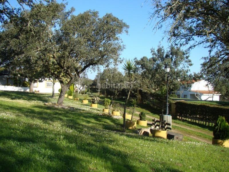 Foto 5664f55f-5d44-44f8-ae47-b948dff72149. Finca rústica a Alcántara