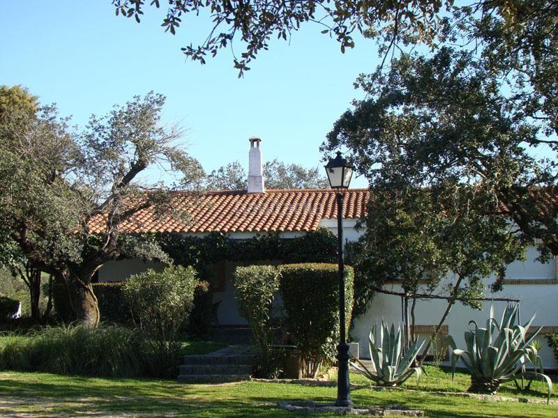 Foto 8445f783-9ab8-4a6b-8911-8cf10d1e6254. Finca rústica a Alcántara