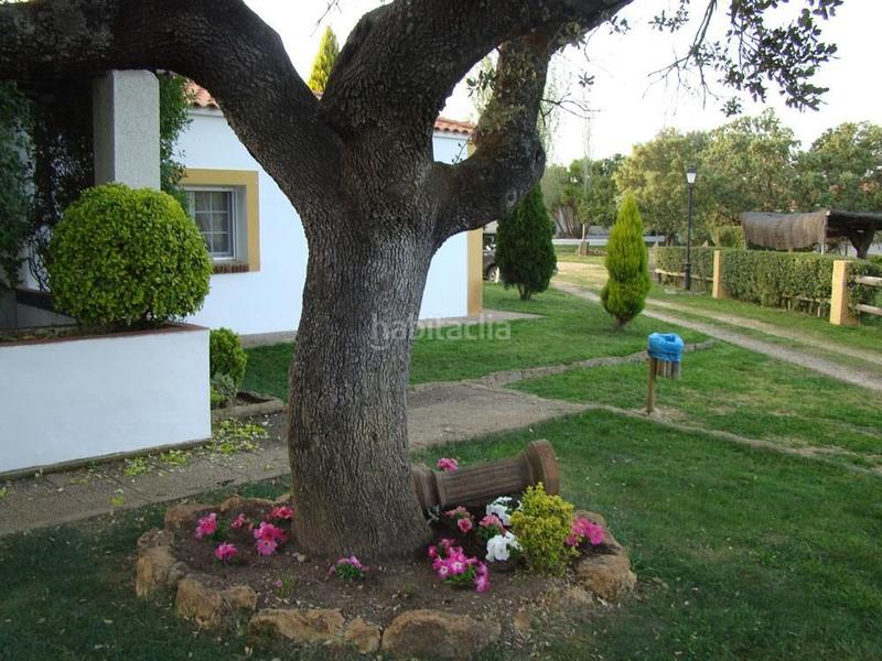 Foto 97cbea4a-2663-4f47-940d-a14c68d6efdf. Finca rústica a Alcántara