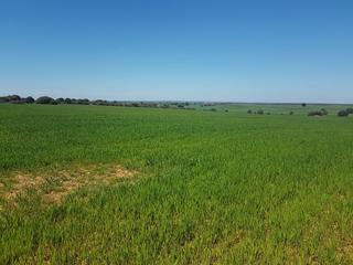 Rural plot in Pelabravo