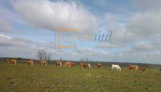 Landgut in Ledesma. Finca ganadera de monte, buen pasto y de labor en la comarca de