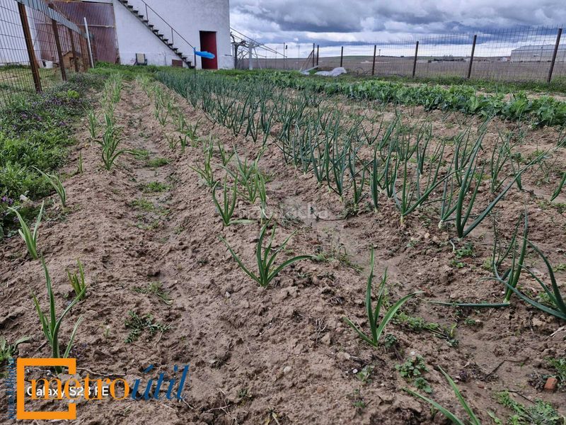 Foto 1c163b04-48a3-4e50-9f33-b1b22f46e08b. Finca rústica a Babilafuente