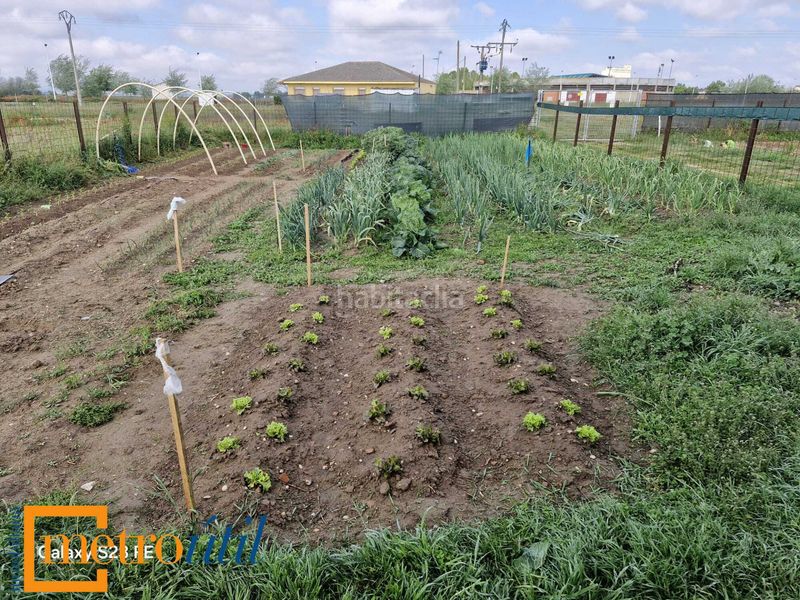Foto 41eb65ba-fab5-48b6-b3c0-fd25d21b9aac. Finca rústica a Babilafuente