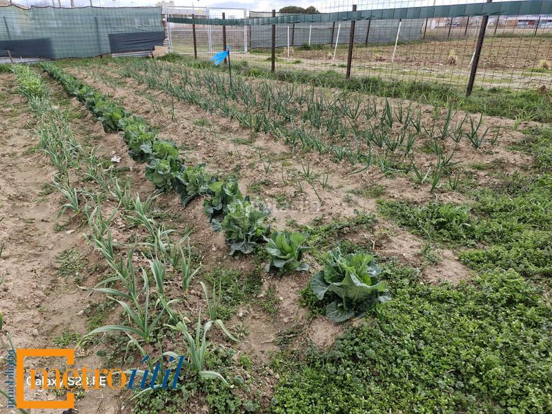 Foto 4929137e-e321-4b98-80fa-ab03d123c55f. Finca rústica a Babilafuente