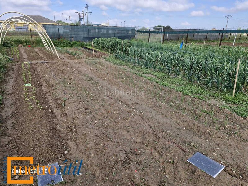 Foto 83f48162-1e85-432e-a120-3a892d6fc059. Finca rústica a Babilafuente