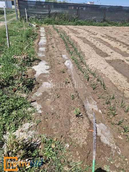 Foto a210baaf-2a47-4369-ba58-c0a37becaa60. Finca rústica a Babilafuente