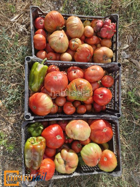 Foto c604c000-fe22-43e4-ae75-24d02d60d5e9. Finca rústica a Babilafuente
