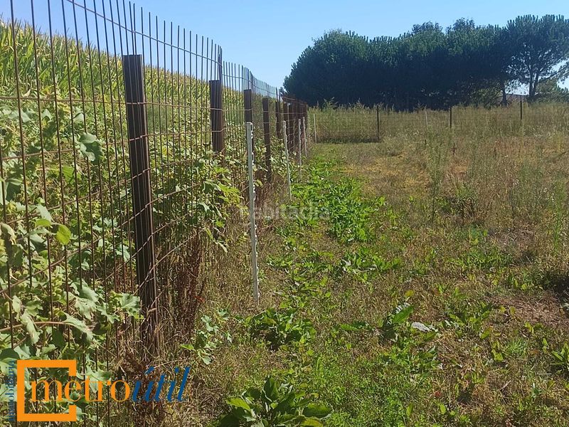 Foto e0bee8ee-77cf-4919-baec-4da22f9de510. Finca rústica a Babilafuente