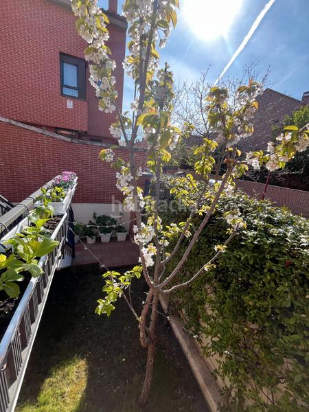 Foto 4266279b-d44f-4888-9fe9-a2e4c7bb0067. Towny house with heating parking pool in Las Villas - Valparaiso - El Peral Valladolid