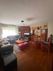 Pis  Calle pedro pérez villar. Piso bajo de 3 dormitorios en la flecha - arroyo de la encomiend