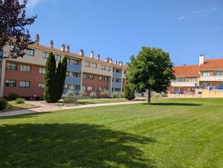 Pis  Doña juana. Piso en venta en la flecha  monasterio del prado, 3 dormitorios.