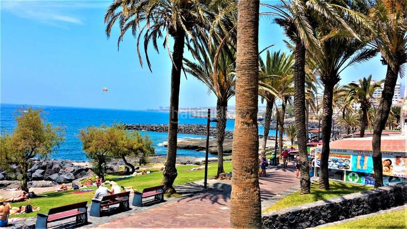 Foto 42971e2e-b2c3-4298-a518-4770cd91439e. Apartament amb piscina a Playa de las Américas Adeje