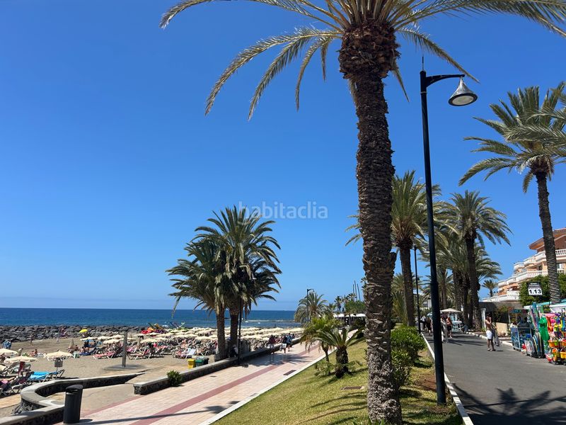 Foto b1d96ca6-cd36-4e1c-b161-43766eaff500. Àtic a avenida las américas 15 a Playa de las Américas Arona