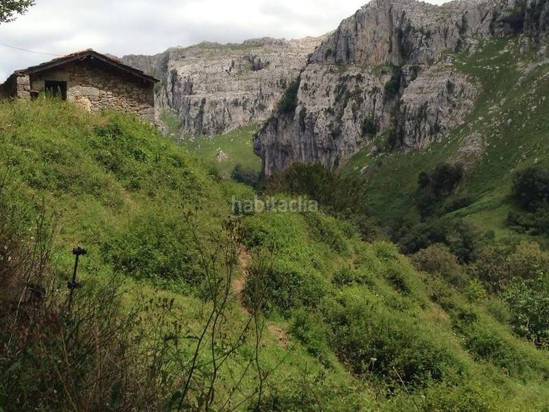 Foto 287bc6ef-2c67-4a28-b2a8-4d2e4e382094. Casale in Miera