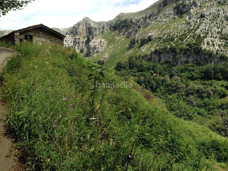 Foto 558233be-a40b-4fbb-8b18-0f43311103c7. Casale in Miera