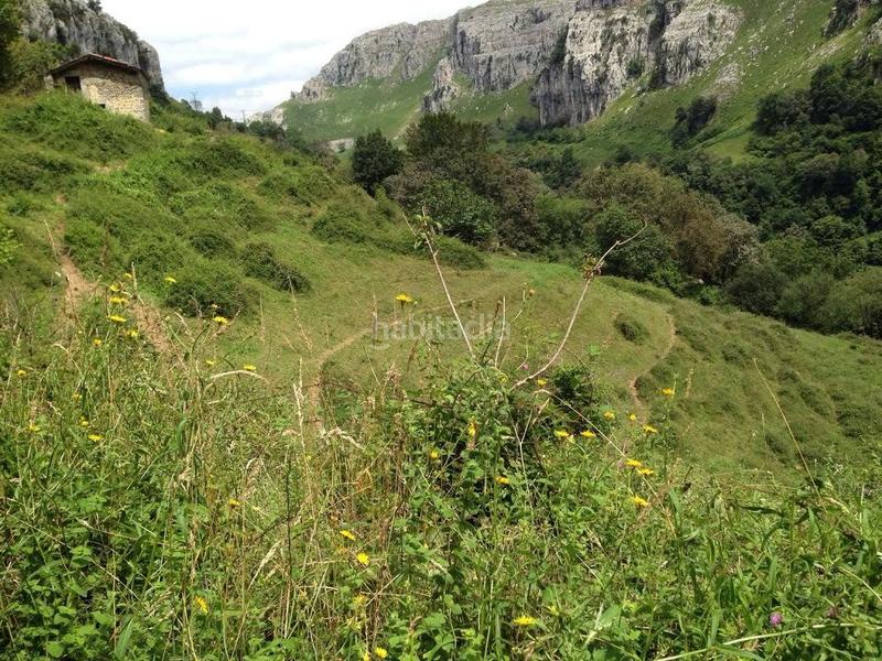 Foto c40f7da5-694e-4f95-a77e-d4c8a1f21ba2. Casale in Miera