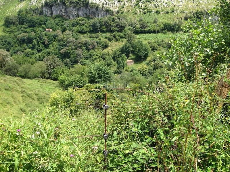 Foto cf0a6e9b-1a8a-45c1-b478-c9dc872431be. Casale in Miera