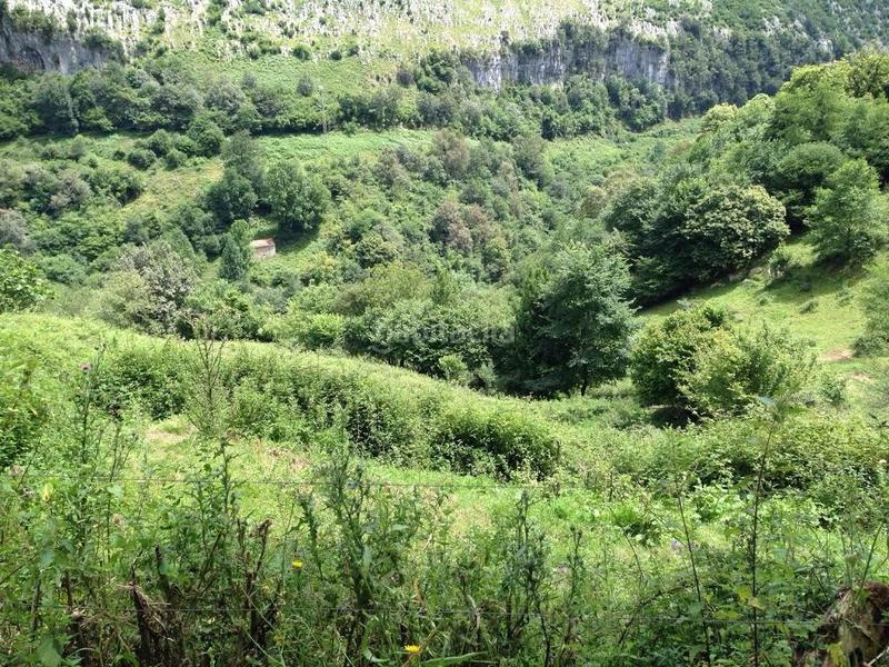 Foto dd5ff6a1-14e5-4bb3-83be-d82caea6e481. Casale in Miera