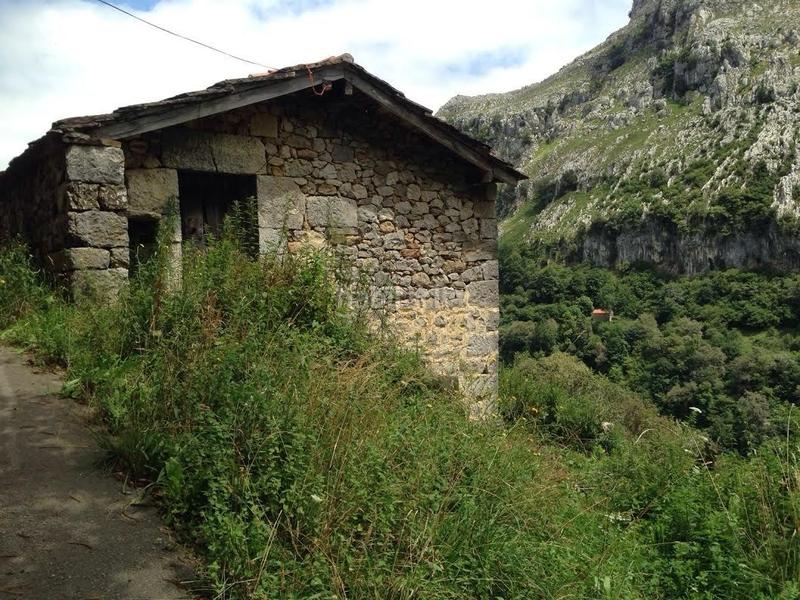 Foto ecbe60da-bfb2-4423-a11a-2e21ecb4bfdc. Casale in Miera