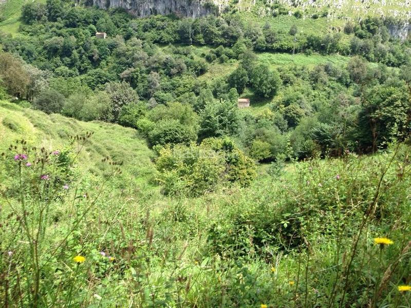 Foto f9a75d53-9554-462c-9414-99f66ee4e509. Casale in Miera