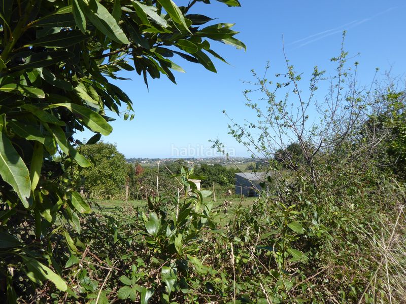 Foto 496320c7-d3cc-44a0-9d8c-d669f748019b. Finca rústica a Marina de Cudeyo