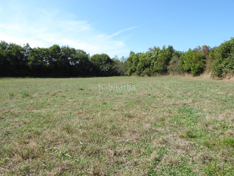 Foto 51a7faca-64da-42a2-bfb9-73a17103075e. Finca rústica a Marina de Cudeyo