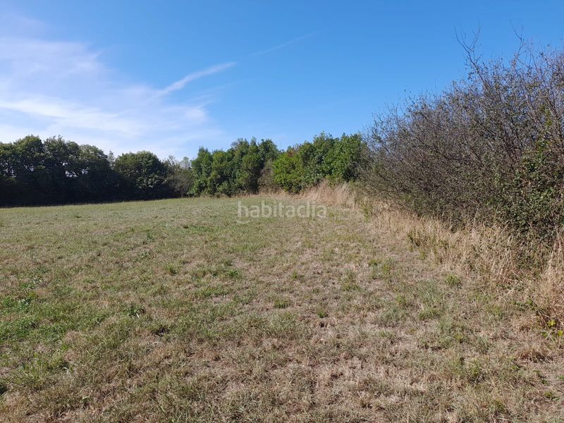 Foto 5a014223-1e72-404c-a594-28b03f5e1ed3. Finca rústica a Marina de Cudeyo