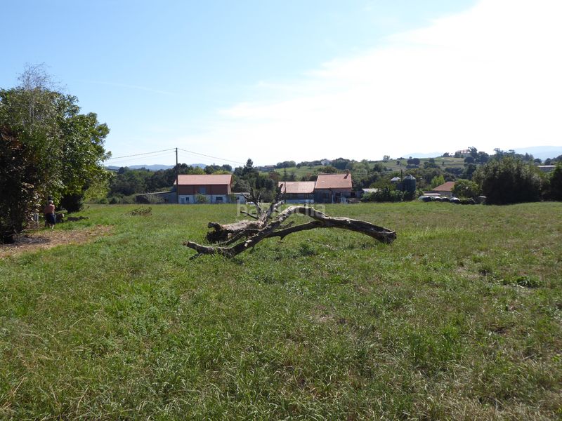 Foto 98a74022-9b5d-4f05-8aa2-0800aba7656c. Finca rústica a Marina de Cudeyo