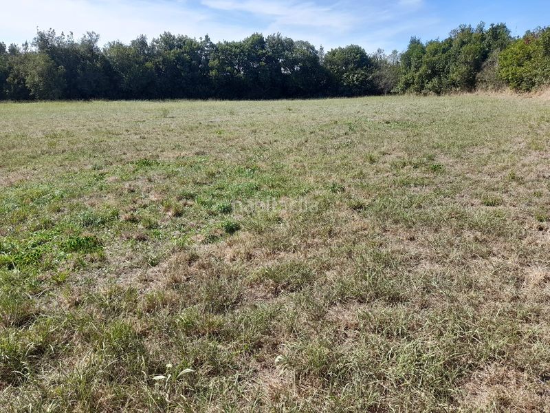 Foto f31aa249-de98-493e-917d-65998ff8e358. Finca rústica a Marina de Cudeyo