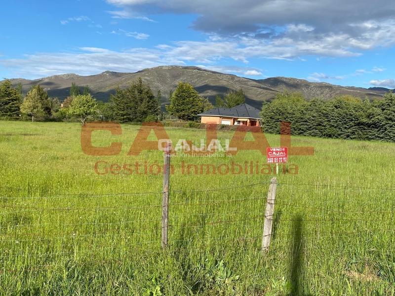 Foto 0db6941f-b4e6-4dfa-b132-69c6ebcde66e. Finca rústica en Riaza