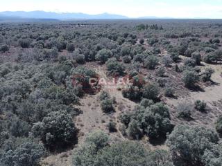 Terreny residencial  Poligono 6, parcela 6020. Parcelas en fresno de cantespino