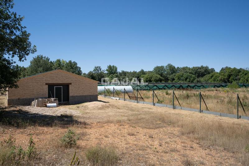 Foto 0203af64-a453-4a10-9210-5fd8479cbf13. Finca rústica en 8 en Fresno de Cantespino