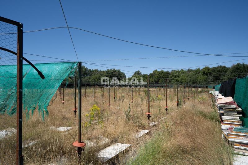 Foto 532391f5-edc1-486f-8348-4c21c927a116. Finca rústica en 8 en Fresno de Cantespino