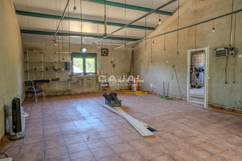 Foto 6d92464a-a266-4df5-a2c9-33ade45aee09. Finca rústica en 8 en Fresno de Cantespino