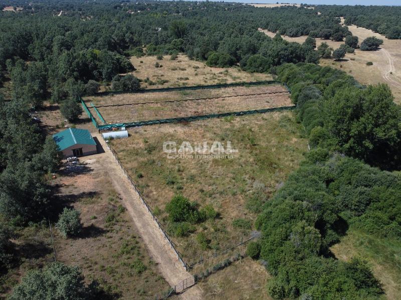 Foto c94ecdae-540d-4a79-b75c-2e38d5156887. Finca rústica en 8 en Fresno de Cantespino