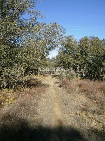 Foto 1ea24f4b-63c1-44bb-8a3a-542492779710. Finca rústica a Fresno de Cantespino