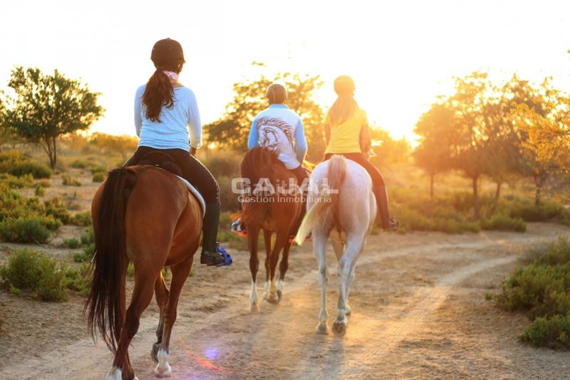 Foto 415350b5-816d-439e-83c4-0d64756d94b6. Finca rústica a Fresno de Cantespino