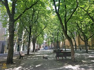 Apartament  Plazuela de san jose. Tu nueva vida en el casco viejo!