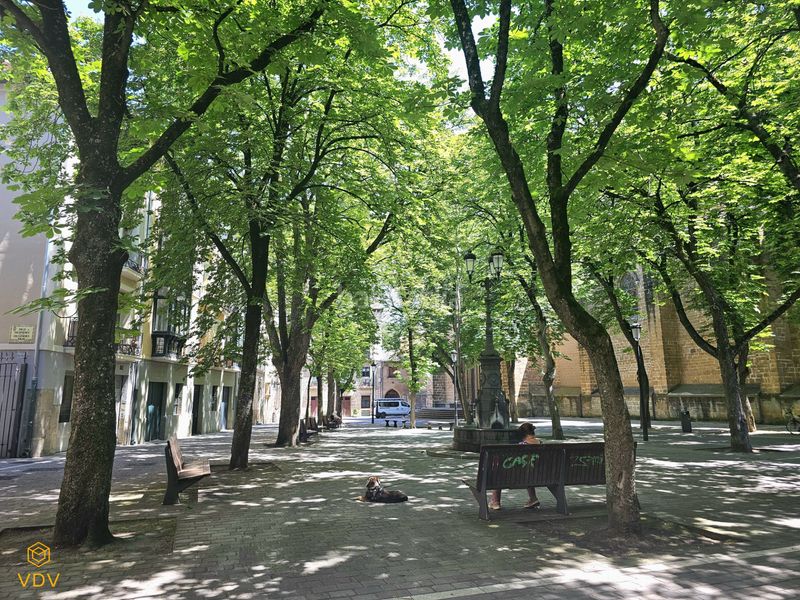 Foto 50a8223f-d780-4362-8f52-5c2ad9bee249. Apartament amb calefacció a Casco Antiguo Pamplona / Iruña