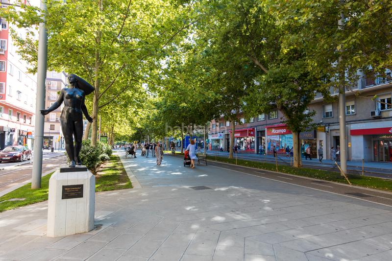 Foto 48a48306-9fcc-40b8-a3bb-9cd694400392. Pis a Universidad San Francisco Zaragoza