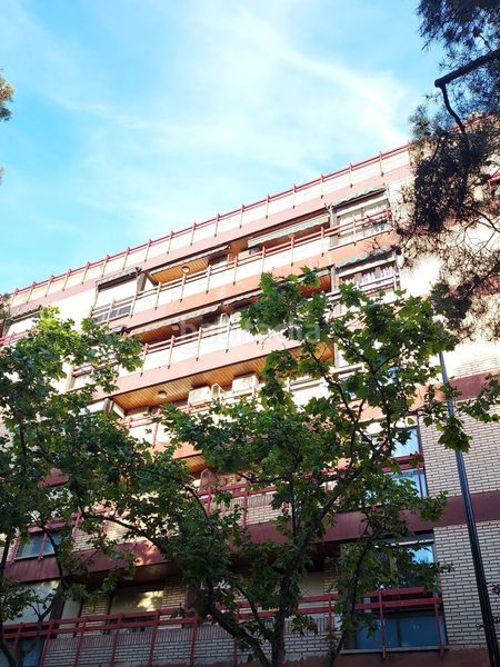 Foto 338745fc-7ade-4692-83cc-f59aa3039369. Rent flat in Universidad San Francisco Zaragoza